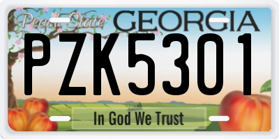 GA license plate PZK5301
