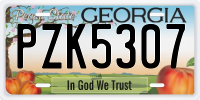 GA license plate PZK5307