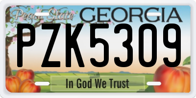 GA license plate PZK5309