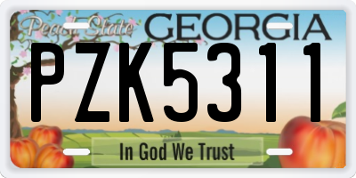 GA license plate PZK5311