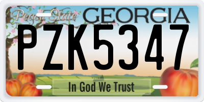 GA license plate PZK5347