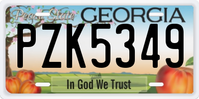 GA license plate PZK5349
