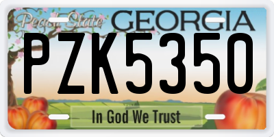 GA license plate PZK5350