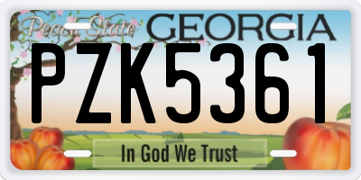 GA license plate PZK5361