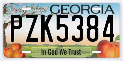 GA license plate PZK5384