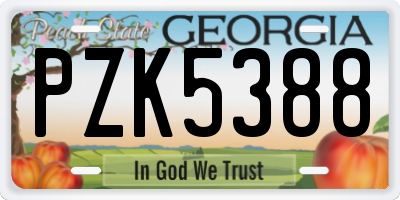 GA license plate PZK5388