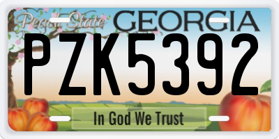 GA license plate PZK5392