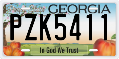 GA license plate PZK5411