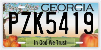 GA license plate PZK5419