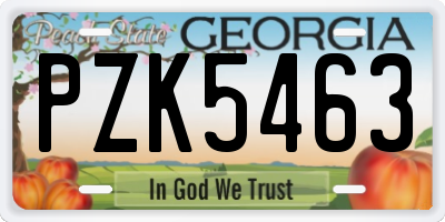 GA license plate PZK5463