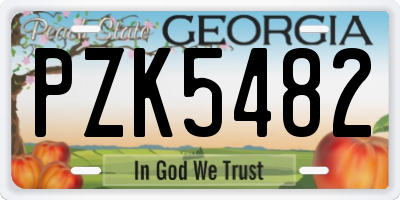 GA license plate PZK5482