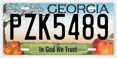 GA license plate PZK5489