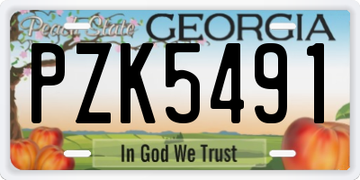 GA license plate PZK5491