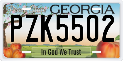 GA license plate PZK5502