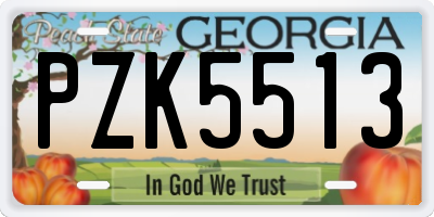 GA license plate PZK5513