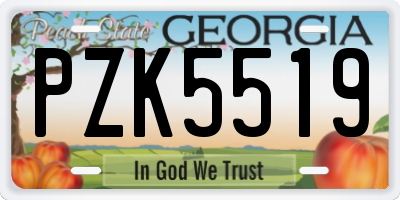 GA license plate PZK5519