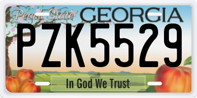 GA license plate PZK5529