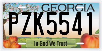 GA license plate PZK5541