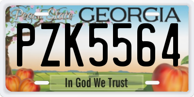GA license plate PZK5564