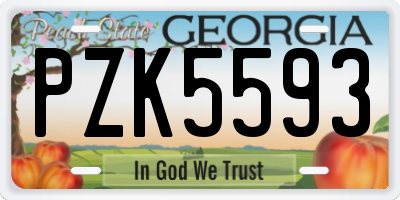 GA license plate PZK5593