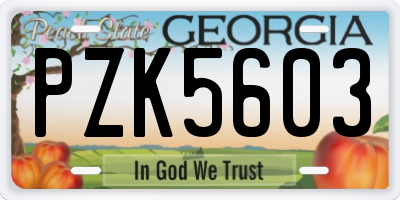 GA license plate PZK5603