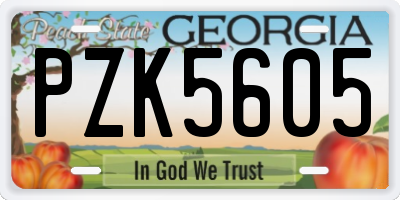 GA license plate PZK5605