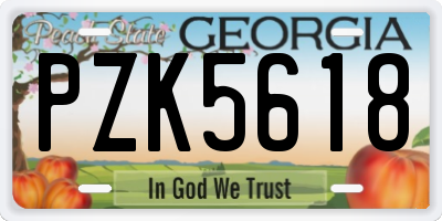 GA license plate PZK5618