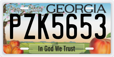 GA license plate PZK5653