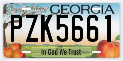 GA license plate PZK5661