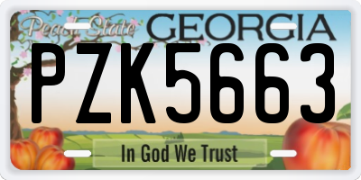 GA license plate PZK5663