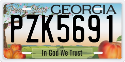 GA license plate PZK5691