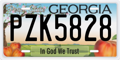 GA license plate PZK5828