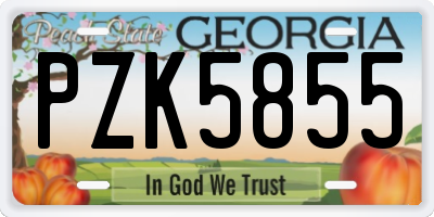 GA license plate PZK5855