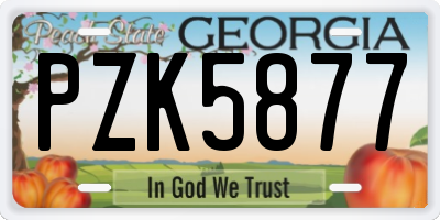 GA license plate PZK5877