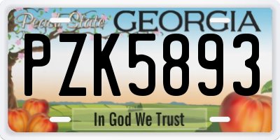 GA license plate PZK5893