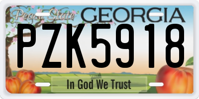 GA license plate PZK5918