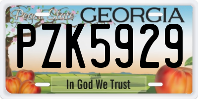 GA license plate PZK5929