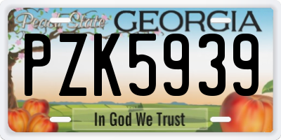 GA license plate PZK5939