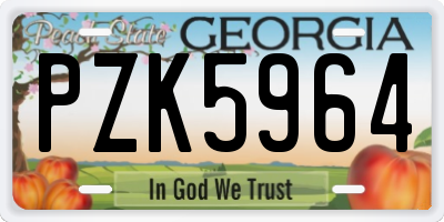 GA license plate PZK5964
