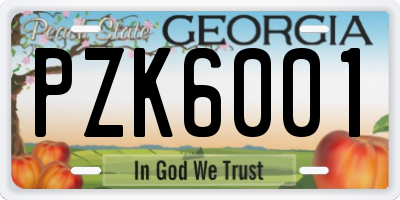 GA license plate PZK6001