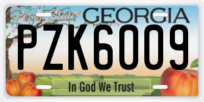GA license plate PZK6009