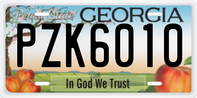 GA license plate PZK6010