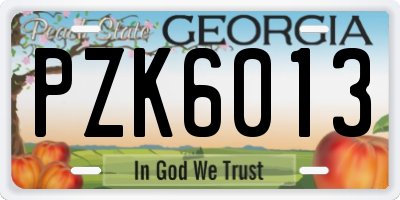 GA license plate PZK6013