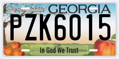 GA license plate PZK6015