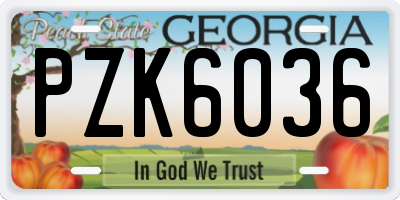GA license plate PZK6036