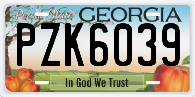 GA license plate PZK6039
