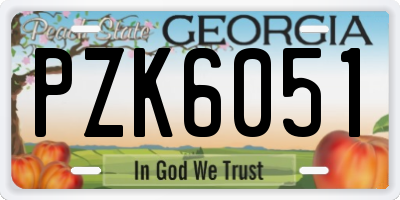 GA license plate PZK6051