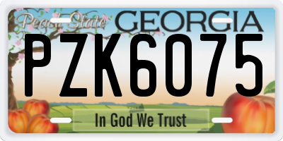 GA license plate PZK6075