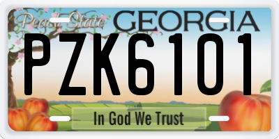GA license plate PZK6101