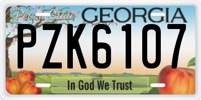 GA license plate PZK6107